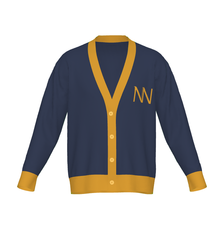 Varsity Vibes - Navy & Gold